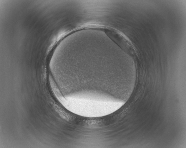 X0000078851461200612111609