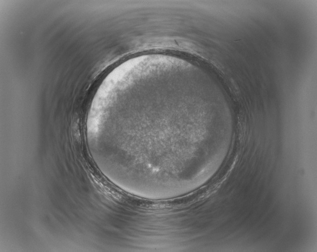 X0000078851497200612111608