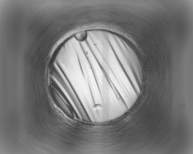 X0000078851510200612111608