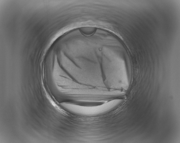 X0000078851515200612111608