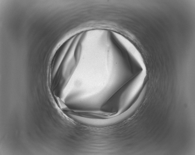 X0000078851520200612111608