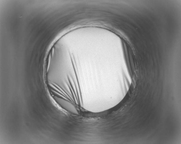 X0000078851528200612111608