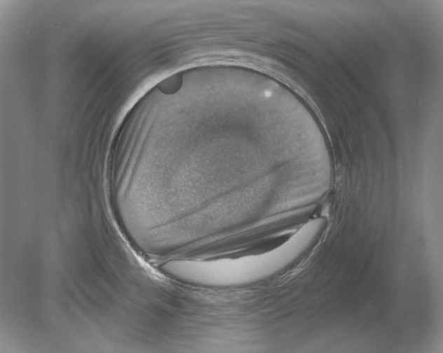 X0000078851533200612111608