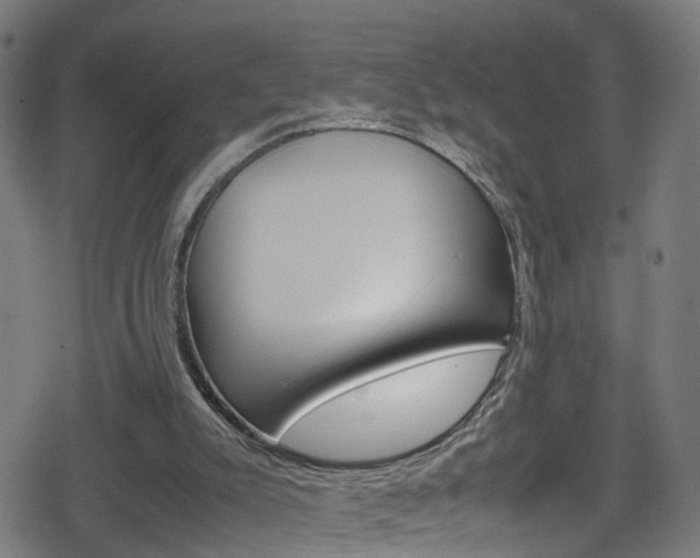 X0000078860007200611131011