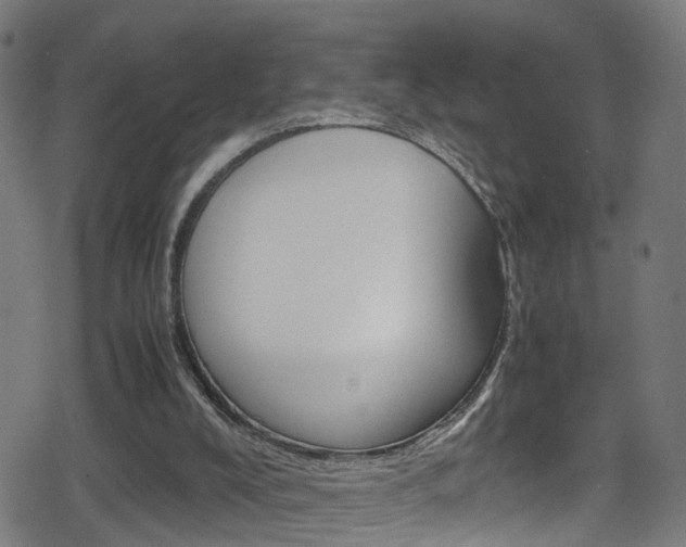X0000078860008200611131011