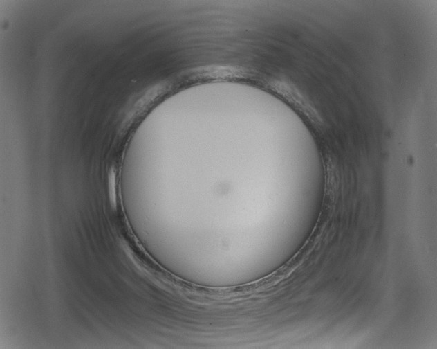 X0000078860014200611131011