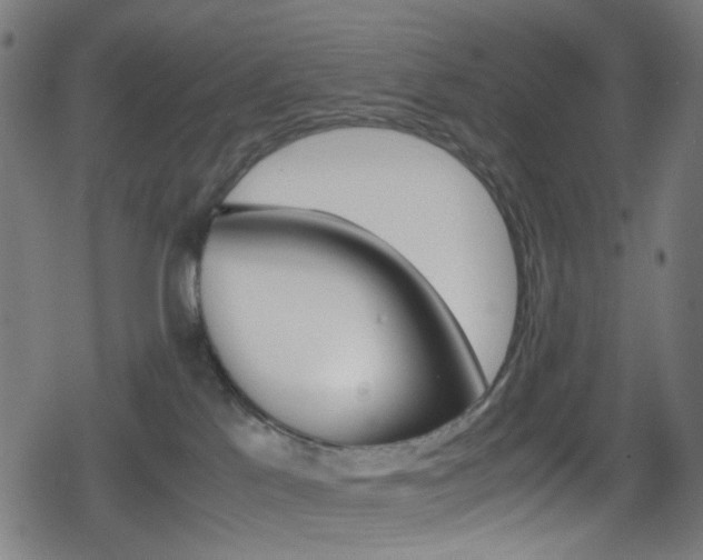 X0000078860041200611131010