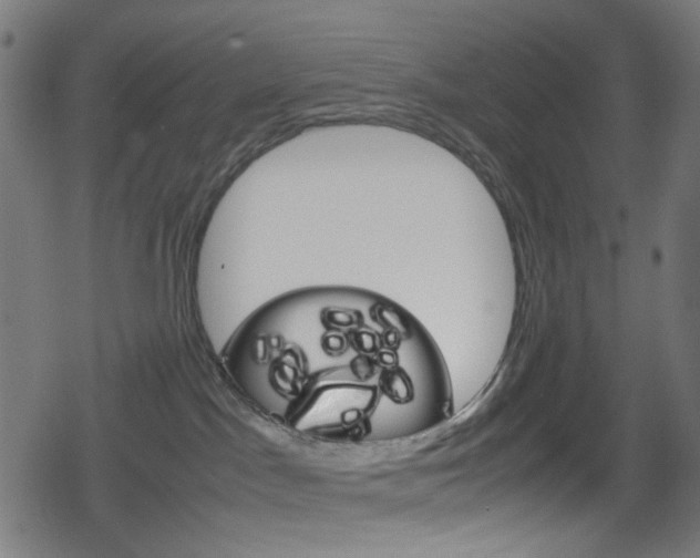 X0000078860045200611131010