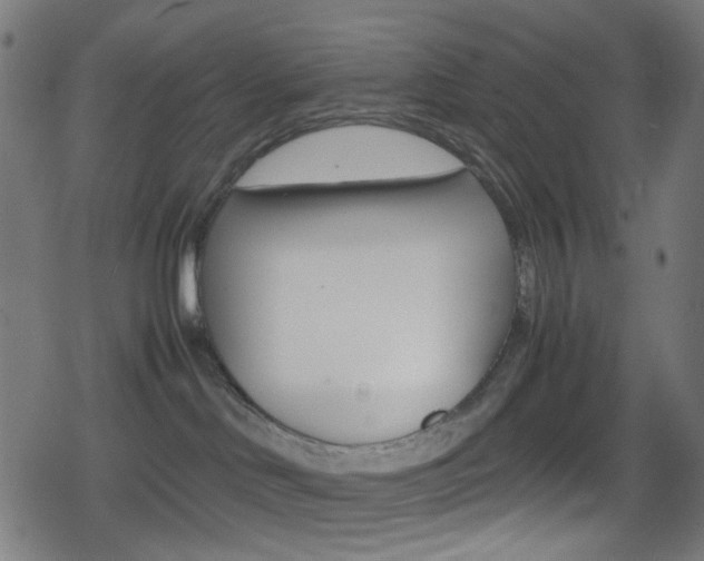X0000078860046200611131010