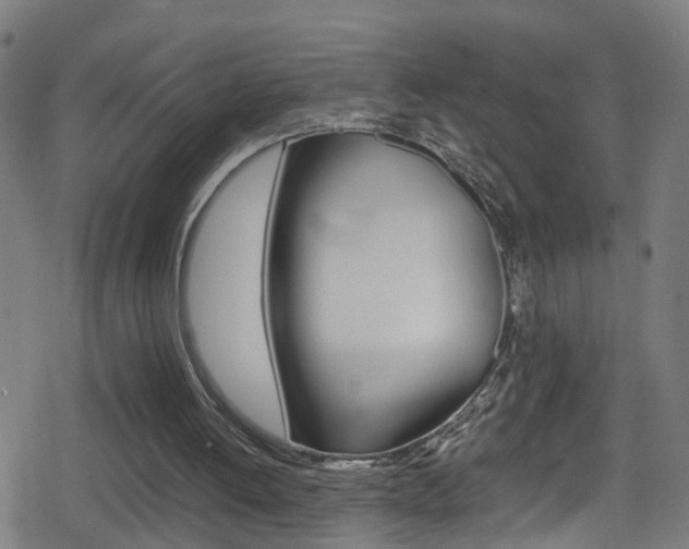 X0000078860052200611131009