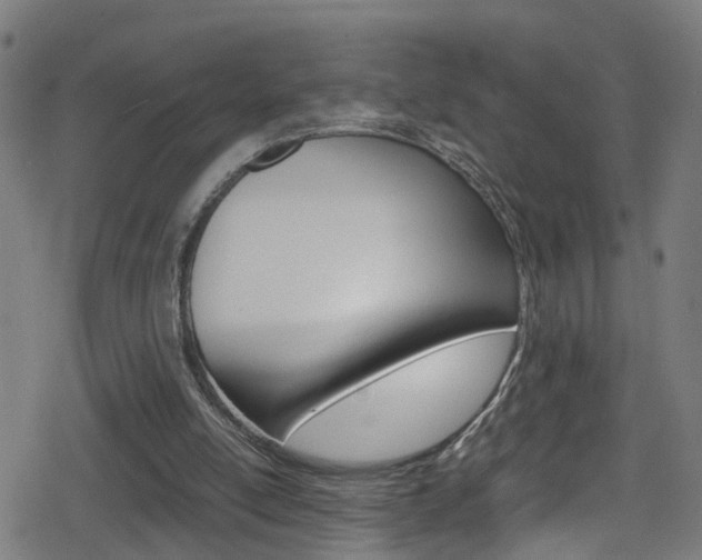 X0000078860054200611131009