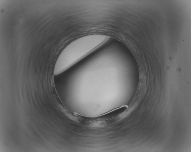 X0000078860096200611131010
