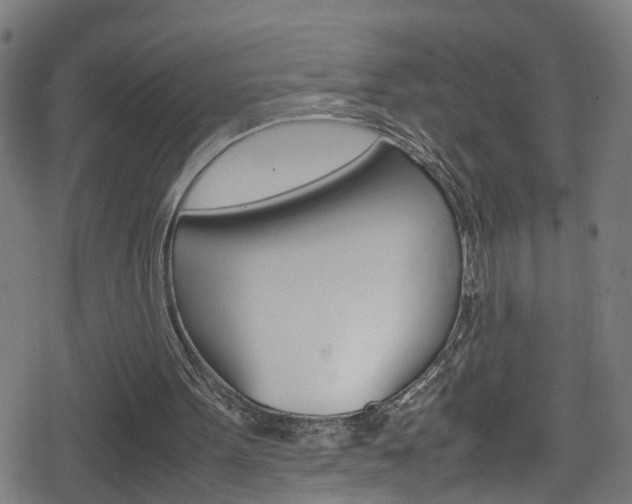 X0000078860099200611131009
