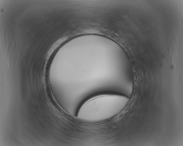 X0000078860104200611131009