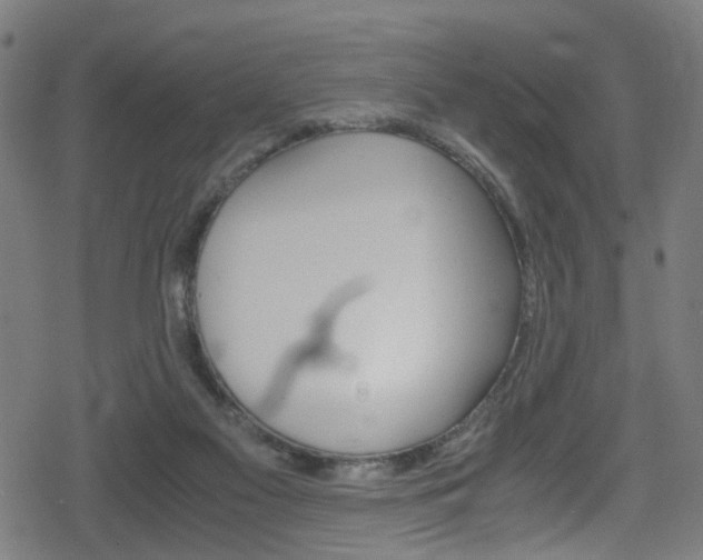 X0000078860117200611131009