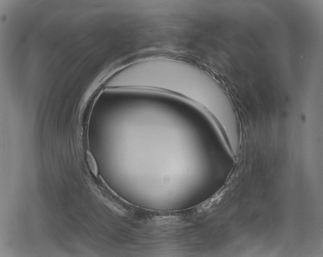X0000078860150200611131008