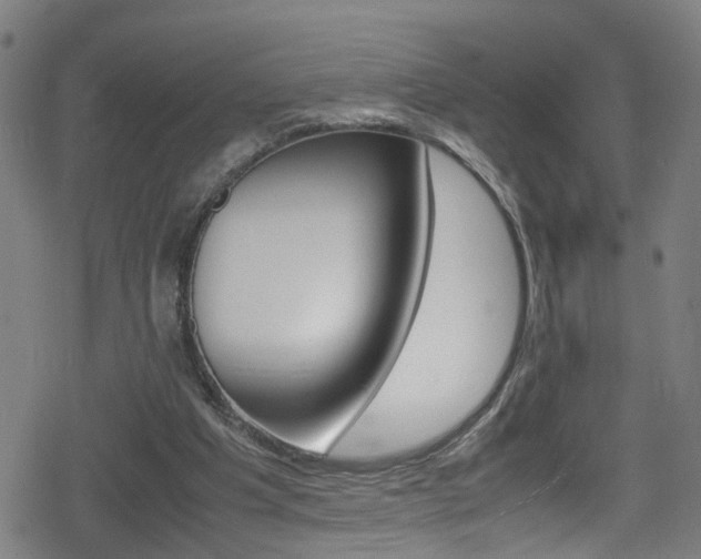 X0000078860201200611131008