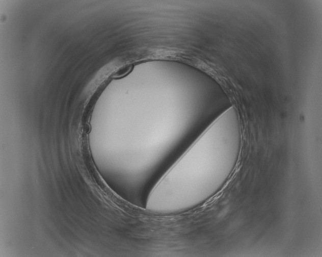 X0000078860242200611131006