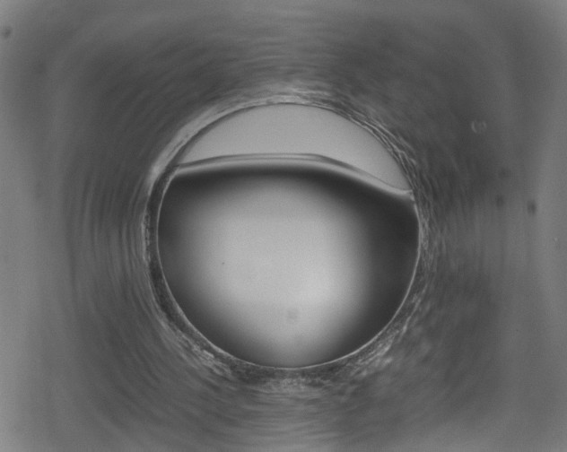 X0000078860244200611131006