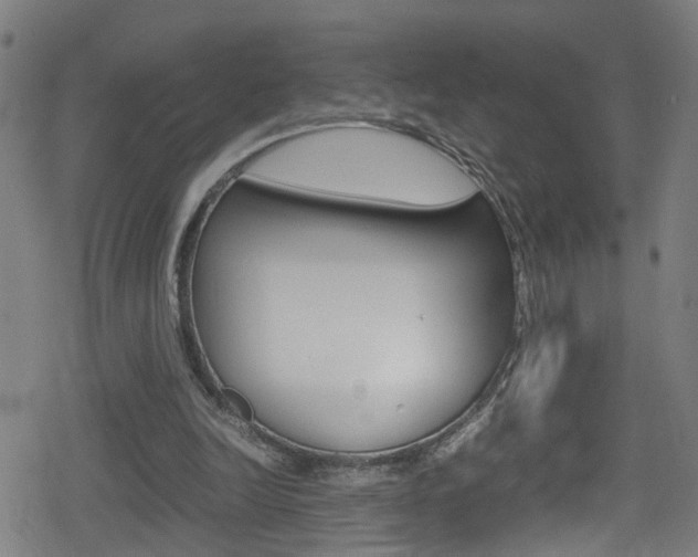 X0000078860246200611131006