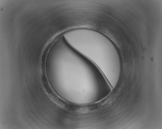 X0000078860252200611131006