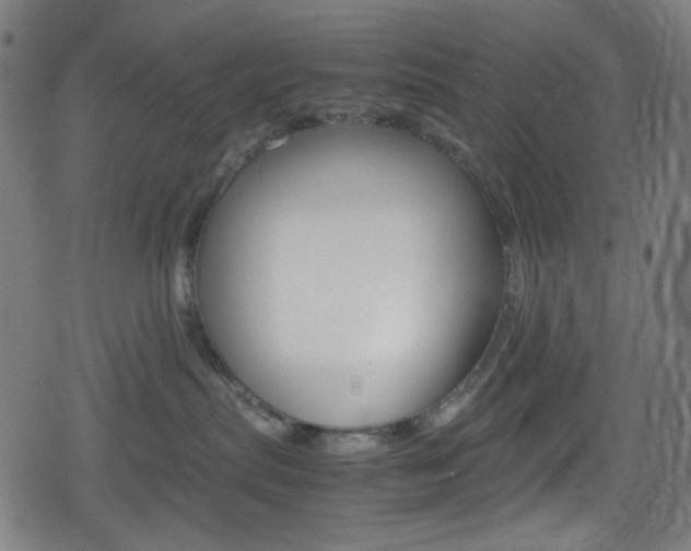 X0000078860287200611131007
