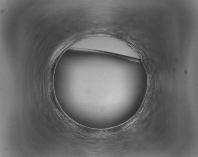 X0000078860293200611131006