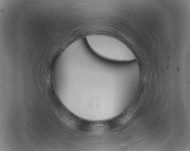 X0000078860315200611131006