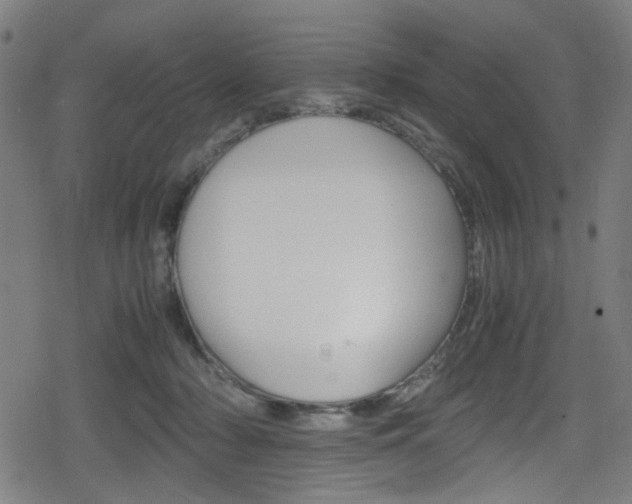 X0000078860318200611131006