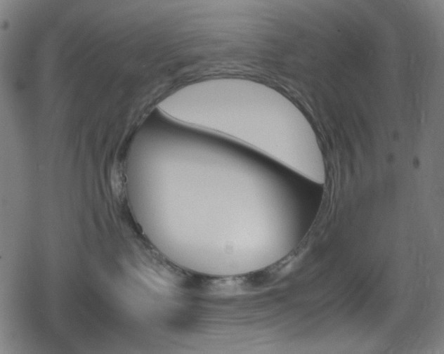 X0000078860335200611131005