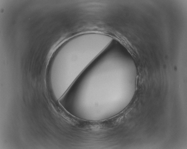 X0000078860344200611131005