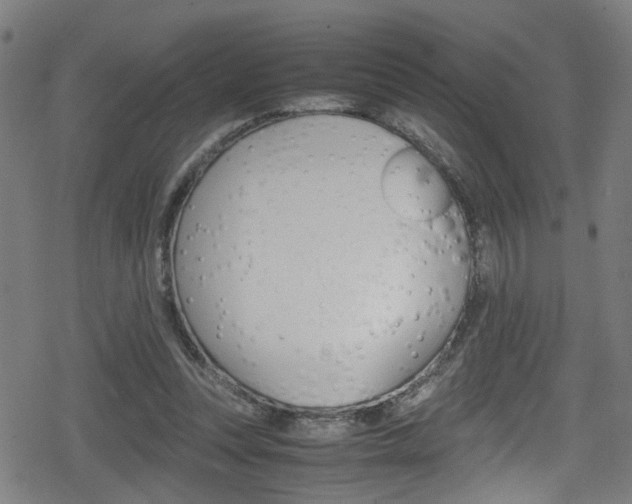 X0000078860351200611131005