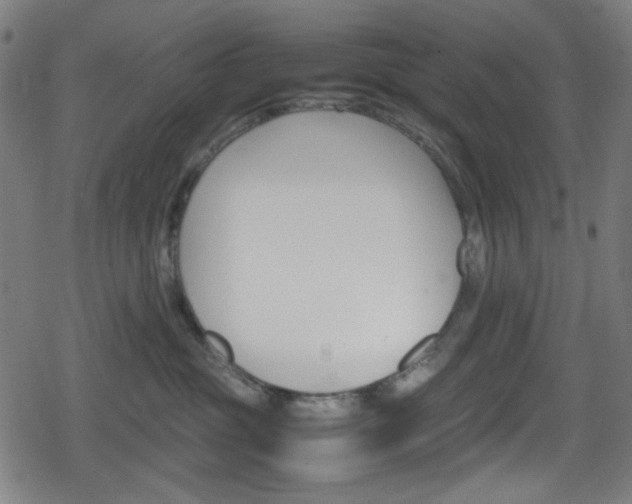 X0000078860381200611131005