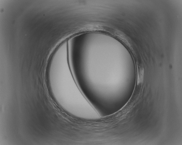 X0000078860387200611131005