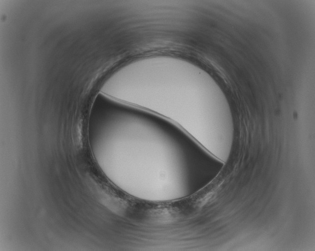X0000078860404200611131004