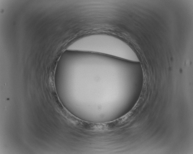 X0000078860415200611131004