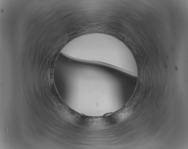 X0000078860428200611131004