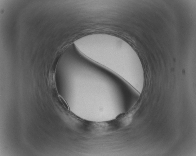 X0000078860429200611131004