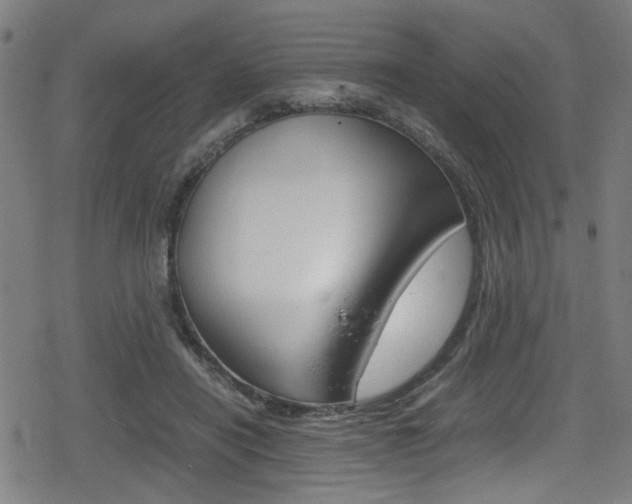 X0000078860454200611131003