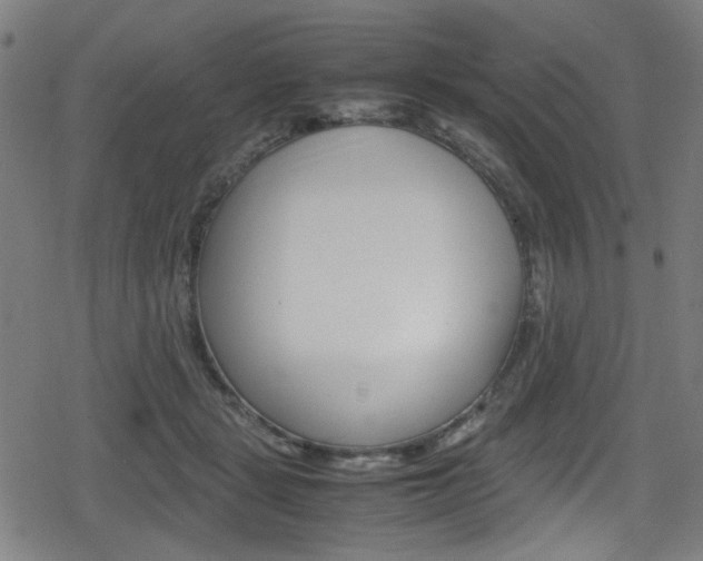 X0000078860461200611131004
