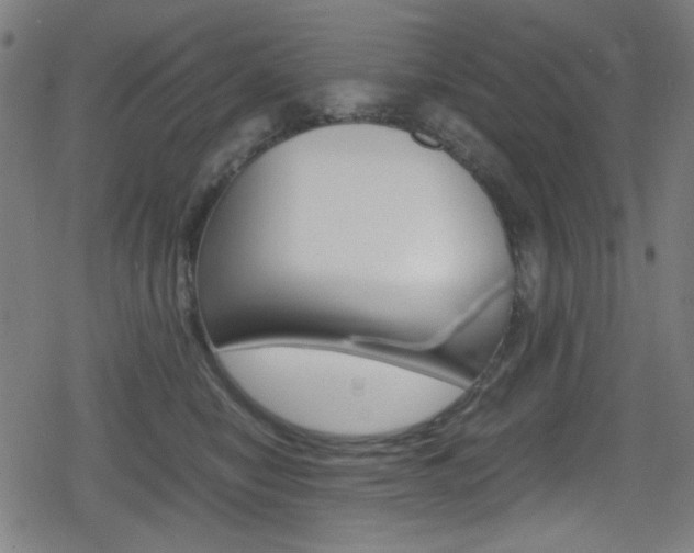 X0000078860470200611131004