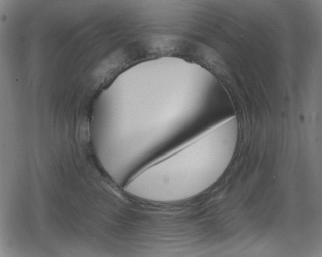 X0000078860474200611131004