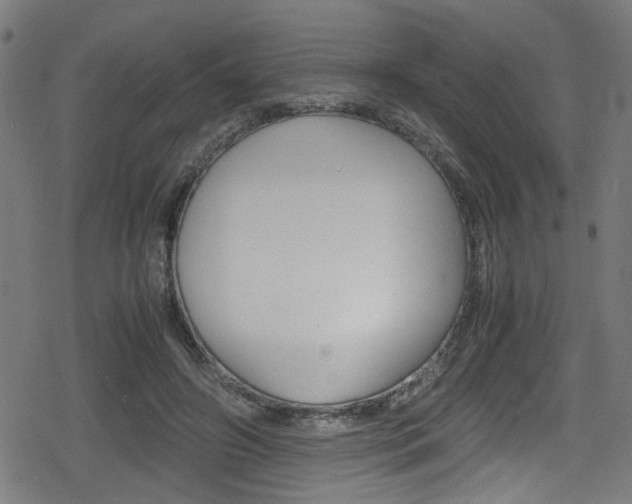 X0000078860498200611131003