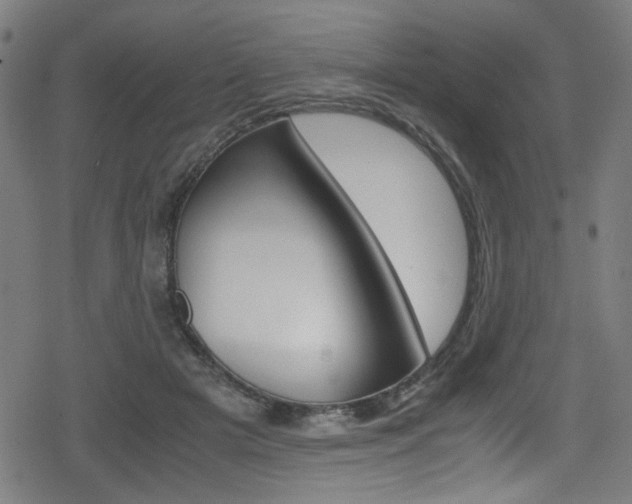 X0000078860505200611131003