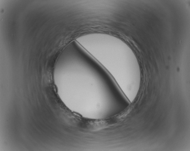 X0000078860517200611131002