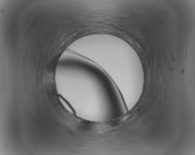 X0000078860521200611131002