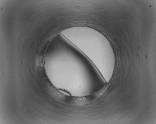 X0000078860525200611131002