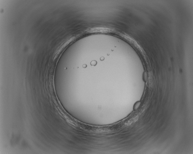 X0000078860529200611131002