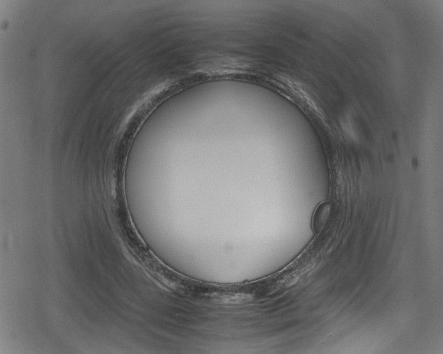 X0000078860539200611131002