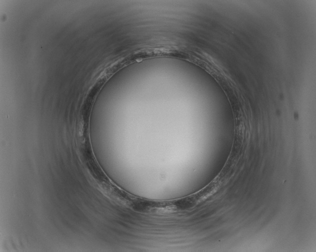 X0000078860548200611131002